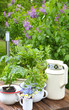 Photo: Altes Geschirr als Gartendekoration Altes Geschirr als Gartendekoration