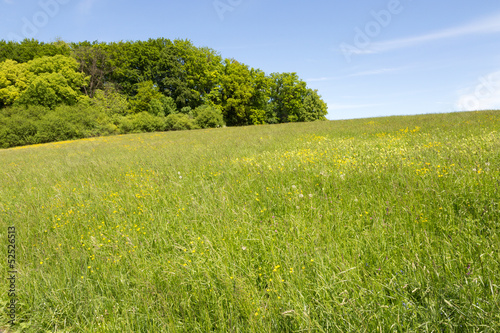 Photo: Campagne et pré fleuri Campagne et pré fleuri