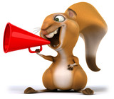 Fun squirrel