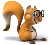 Fun squirrel