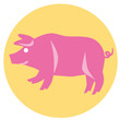 pig