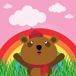 Brown bear with rainbow in the forest