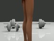 gambe