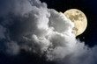 Foto: Full moon night Full moon night