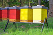 Beehives