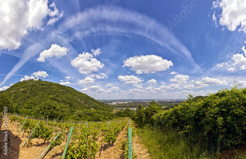 Photo: Danube - Vienna and Saint Leopold's Church on Leopoldsberg. Danube - Vienna and Saint Leopold's Church on Leopoldsberg.