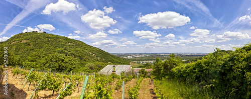 Photo: View of the Danube of Vienna from Kahlenbergerdorf View of the Danube of Vienna from Kahlenbergerdorf