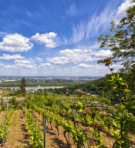 Photo: Danube River and Vienna - view from Kahlenbergerdorf Danube River and Vienna - view from Kahlenbergerdorf