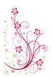Sommer, frame, Blumen, Ranke, pink, rosa