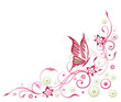 Sommer, Schmetterling, Blume, Ranke, pink, rosa
