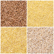 collage of different kinds of groats