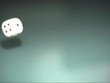 Video: Würfeln Würfeln