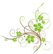 Frühling, filigran, Blume, Ranke, grün, braun