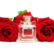 perfume and roses isolated on white background