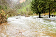 Charco del aceite,Jaén
