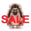 Cute hedgehog holds a Sale