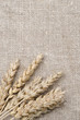 wheat ears on burlap background vertical