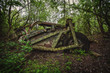 abandoned machine in woods