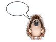 Cute hedgehog talks a lot