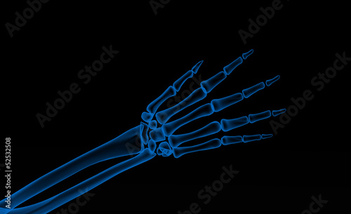 Photo: wrist wrist
