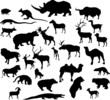 Vector: twenty nine animal silhouettes collection twenty nine animal silhouettes collection