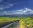 road in mountain.