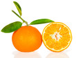 tangerine