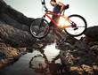 Rider