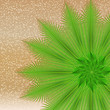 Summer illustration with beach and palm leaves