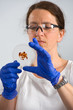 woman in laboratory with object holder