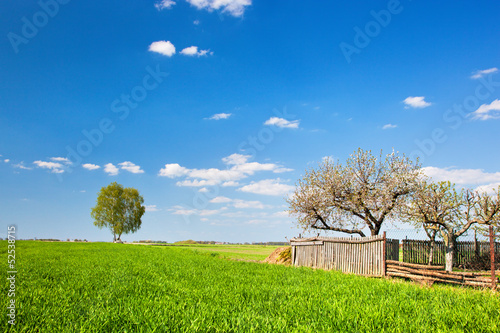 Photo: Countryside landscape during spring with spring and fence Countryside landscape during spring with spring and fence