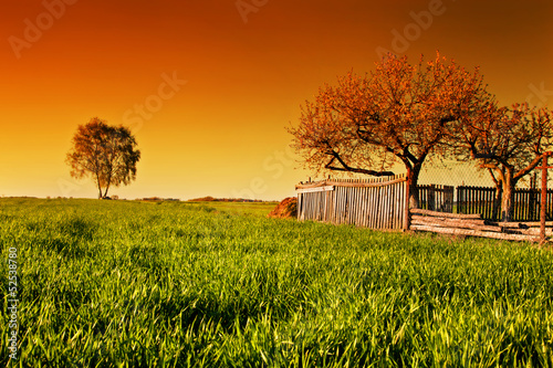 Photo: Countryside orchard landscape at sunset. Spring time Countryside orchard landscape at sunset. Spring time