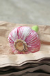 Knoblauchknolle