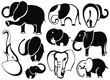 Elephants collection