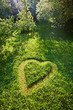 a heart in the meadow