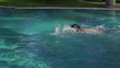 Video: Man swimming in the pool, super slow motion, shot at 480fps Man swimming in the pool, super slow motion, shot at 480fps