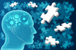 Intelligence et Puzzle