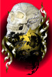 skull rock