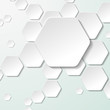 White Paper Hexagon Labels