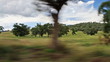 driving along forest and fields