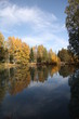 Lumière d'automne.