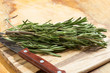 Fresh organic rosemary