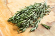 Fresh organic rosemary
