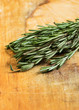 Fresh organic rosemary