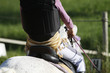 Equitation