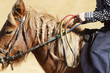 Equitation