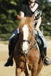 Equitation