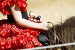 Equitation