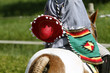 Equitation