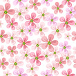 Vector: Floral pattern Floral pattern